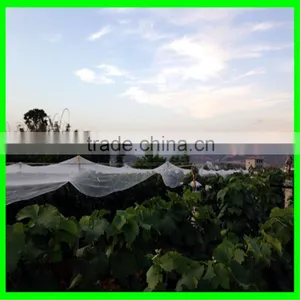 HDPE Anti Hail Protection Net Apple Tree Net thumbnail-4