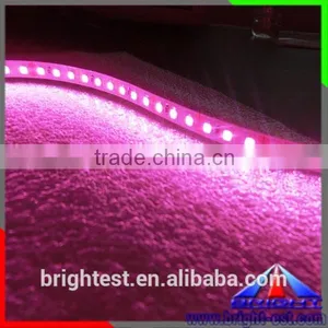 Pink LED Light 2835 Led Strip,2835 Smd Led Datasheet,2835 Strip Light thumbnail-1