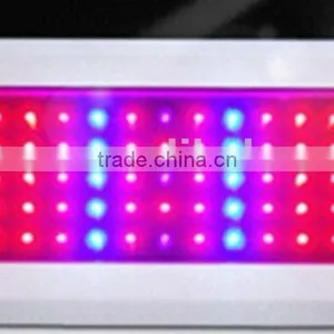 LED Full Spectrum Lamp thumbnail-1