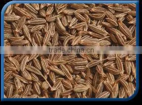 Cumin Seed Sortex Clean thumbnail-1