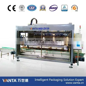 Double Lanes Pick and Place Carton Packer (HZX120S) thumbnail-1