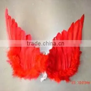 Feather Wings thumbnail-1