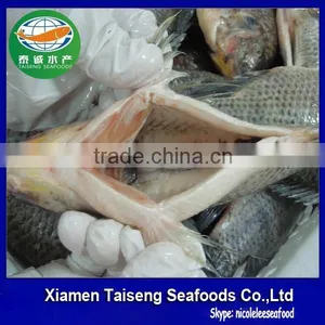 Cheap Frozen Seafood Fish Tilapia Fillet thumbnail-4