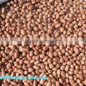 2014 Peanut Kernels, Round Shape, Chinese Java 40/50 , 50/60 ,60/70 thumbnail-1