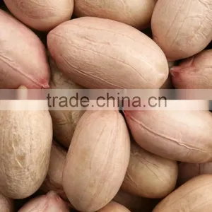 Java Peanuts Suppliers thumbnail-4