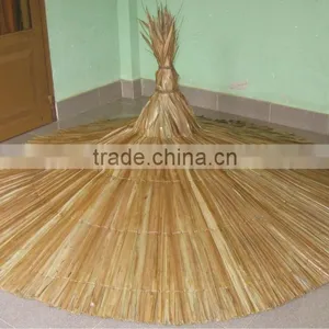 Coconut Umbrella thumbnail-1