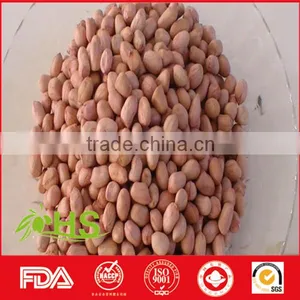 Fresh and New Blanched Peanut Kernel thumbnail-4