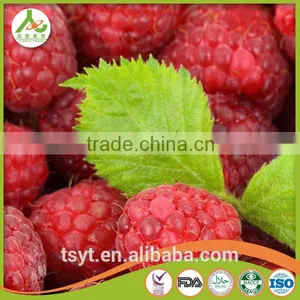 2016 Common and Organic Season Frozen Iqf Raspberry thumbnail-2