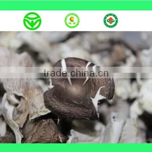 High Quality Dry Mushroom thumbnail-1