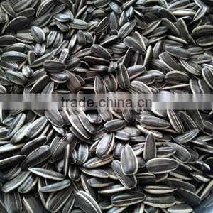 Chinese Sunflower Seeds 5009 thumbnail-1