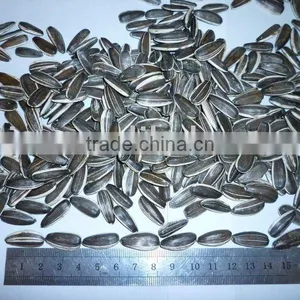 Sunflower Seeds thumbnail-1