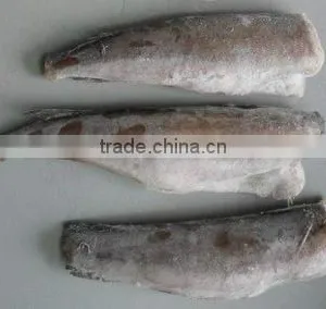 Chilean Hake thumbnail-1