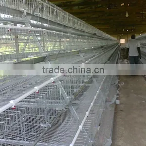 9WCD 4 Tiers A-Type Hot Galvanized Hot Sale Chicken Coop thumbnail-1