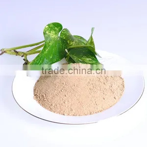 Plant Source Organic Fertilizer Powder 80% Amino Acid thumbnail-3