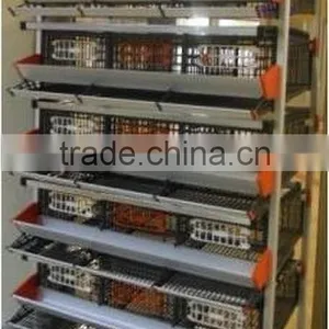 Automatic Poultry Farming Equipment for Layer Quail r thumbnail-3