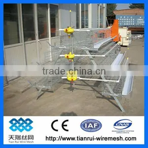 Poultry Cages for Layer Chickens thumbnail-1