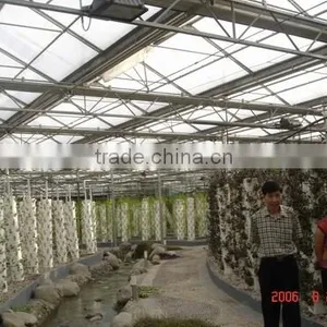 Greenhouse From Beijing in China thumbnail-3