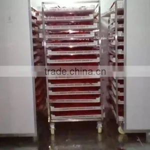 Hot Air Circulation Industrial Pepper Drying Machine thumbnail-6