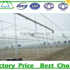 Tomato Tunnel Greenhouse thumbnail-1