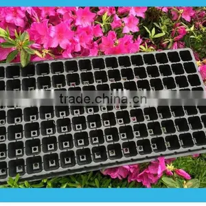 Swellder Hot Sale Blister Thermoformed Plastic Nursery Tray for Garden thumbnail-2
