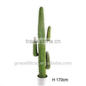 GNW G85 Tropical Tree Plant Larger Pot Home Decoration Hot Sell thumbnail-3