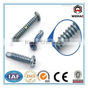 Stainless Steel Self Tapping Screws thumbnail-1