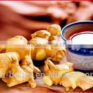 Hot Sales Instant Red Sugar Ginger Tea thumbnail-4