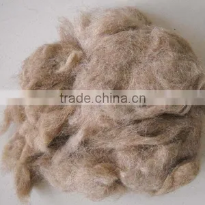 Carpet Grade Wool thumbnail-1