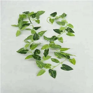 Decorative High Quality Artificial Holland Ivy Vine thumbnail-1