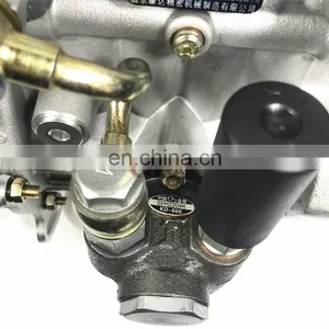 Genuine Kangda Diesel Fuel Injection Pump 4QT25 1111010FX03 thumbnail-5