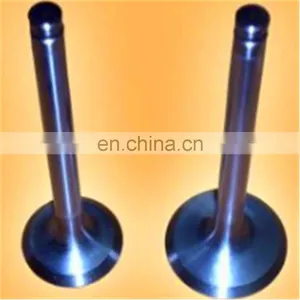 Spare Parts Intake Valve Exhaust Valve FOR ISUZU DH100 E120PB 6QA1 6RB1 10PB1 10PA1 JAPANESE ENGINES thumbnail-2