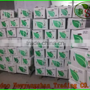 Export Chinese Fresh/Dried Ginger In Market Price thumbnail-4