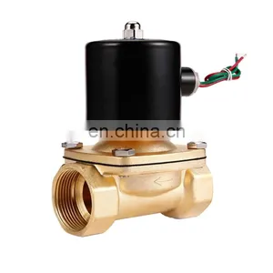 Valves Water Solenoid Valve for Water Pneumatic Valve 220V 12V DN08 DN10 DN15 DN20 DN25 1/4