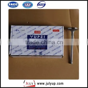 YUCHAI Engine Parts Intake Valve F3000-1003111A for JINBA Truck thumbnail-1