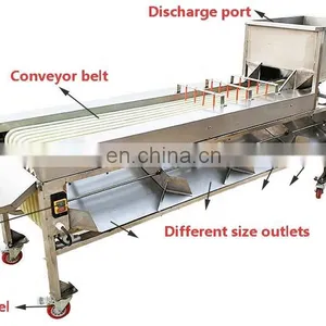 Apple Grading Machine/Potato Sorting Machine/Apple Sorting Machine. thumbnail-3