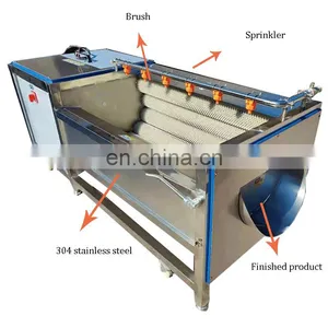 SUS304 Root Vegetable/Round Fruit/Potato/Carrot/Cassava/Taro/Sweet Potato Washing/Washer/Peeling/Peeler Machine for Factory thumbnail-5