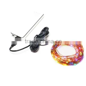 Waterproof Ip68 Indoor Outdoor Christmas Copper Wire Mini Led String Lights thumbnail-5