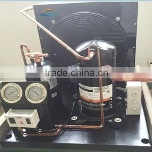 Copeland Compressor R22 Condensing Units for Cold Storage thumbnail-1