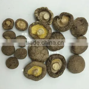 Wholesale Factory Prices for Shiitake 1KG thumbnail-3
