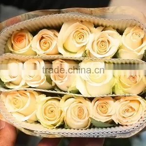 High Quality Promotional Champagne Color Rose Flowers thumbnail-5