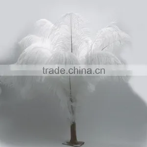 Wholesale New Style Feather, Feather Ostrich Plumes, Different Colours Carnival Ostrich Feathers for Party Decorations thumbnail-2