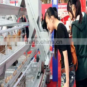 Automatic Chicken Layer Cage for Sale in Philippines thumbnail-1