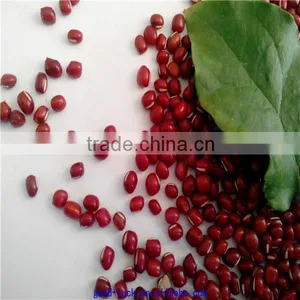 High Quality New Crop Azuki Beans thumbnail-5