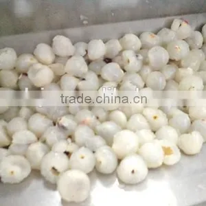Lychee Shucker LX-3A From XinXiang Leading Machinery thumbnail-2