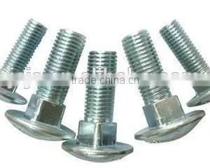 Hot Sell Carriage Bolt Din603 Made in China thumbnail-6
