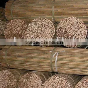 Bamboo Stake thumbnail-1