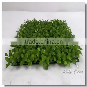 Garden Ornaments Type Plastic Grass Turf Mat Made in China thumbnail-3
