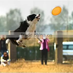 PP Dog Frisbee /Pet Frisbee Flying Disk Dog Toy thumbnail-4