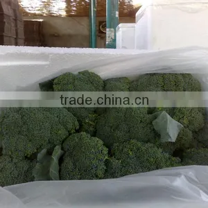 Fresh Broccoli thumbnail-1