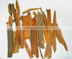 Broken Cassia Best Quality and Price thumbnail-1
